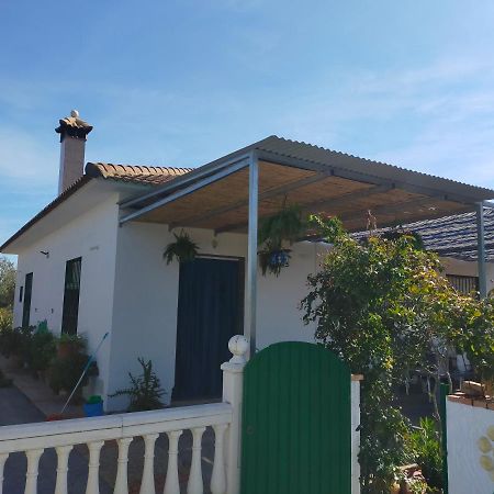 Alojamiento Rural La Perdiz La Puebla de los Infantes Dış mekan fotoğraf