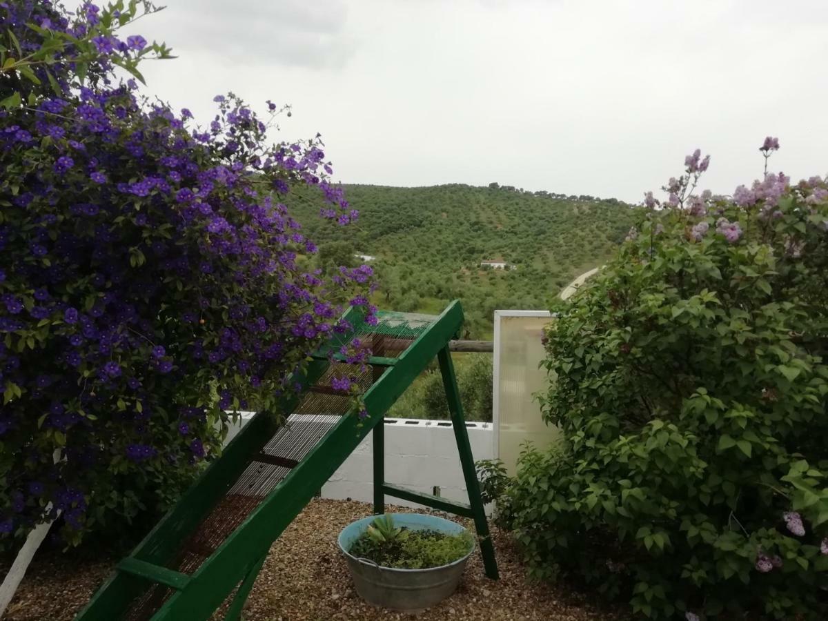 Alojamiento Rural La Perdiz La Puebla de los Infantes Dış mekan fotoğraf